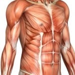Glutathione science